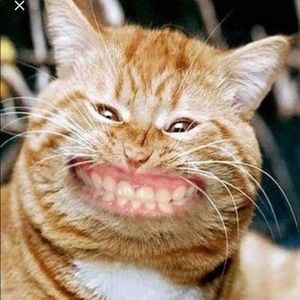 Meet your Posher, Janet